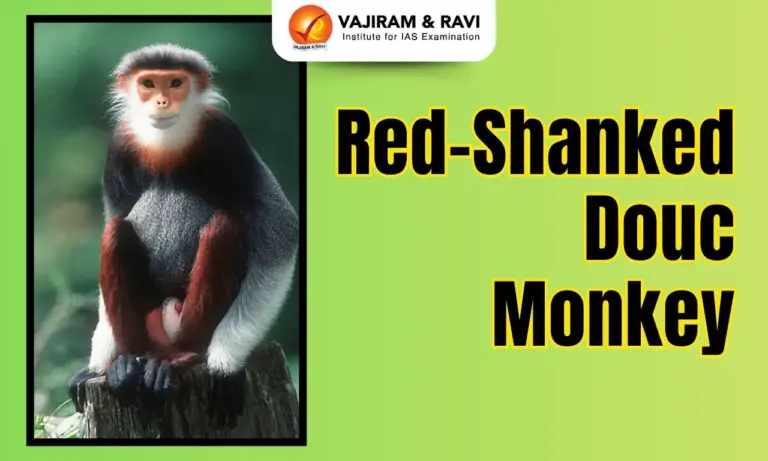 Red-Shanked Douc Monkey