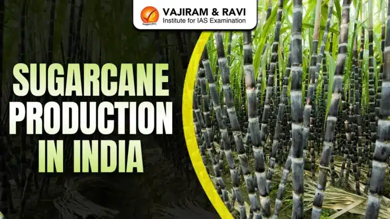 Sugarcane Production in India