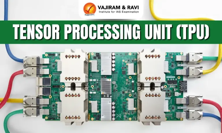 Tensor Processing Unit (TPU)