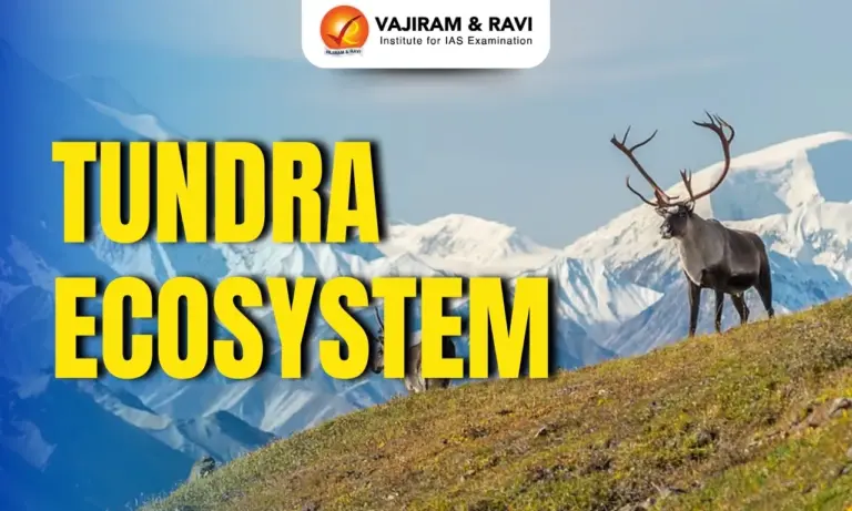 Tundra Ecosystem