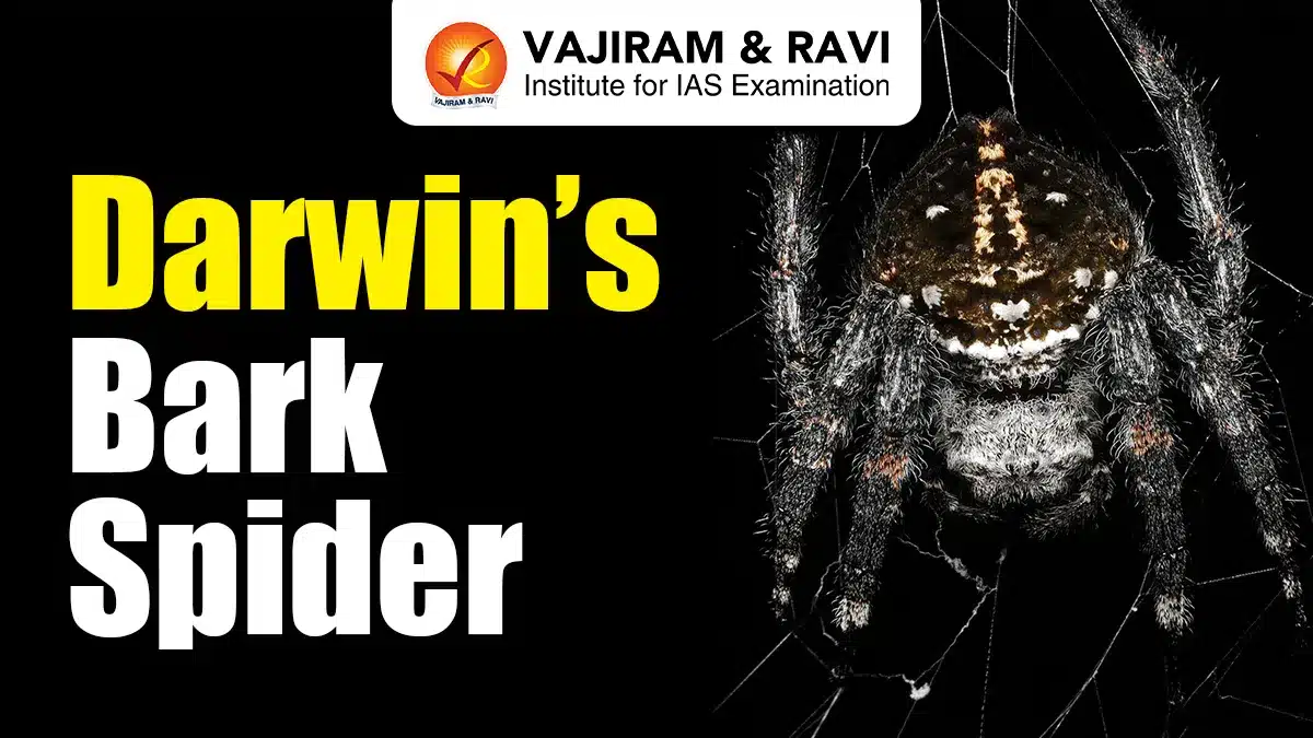 Darwin’s Bark Spider