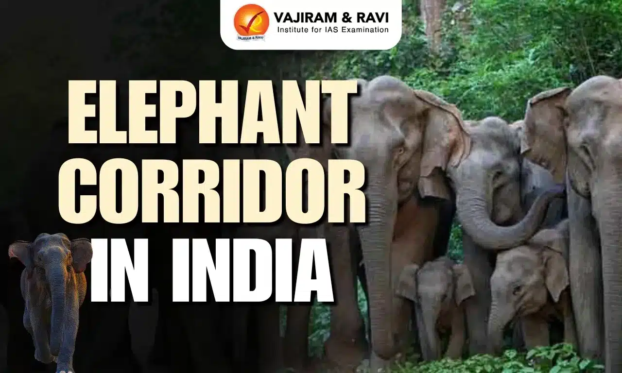 Elephant Corridor in India