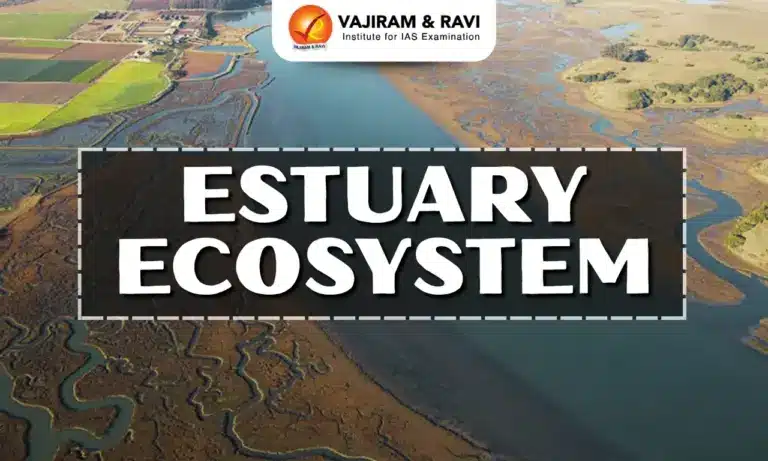 Estuary Ecosystem