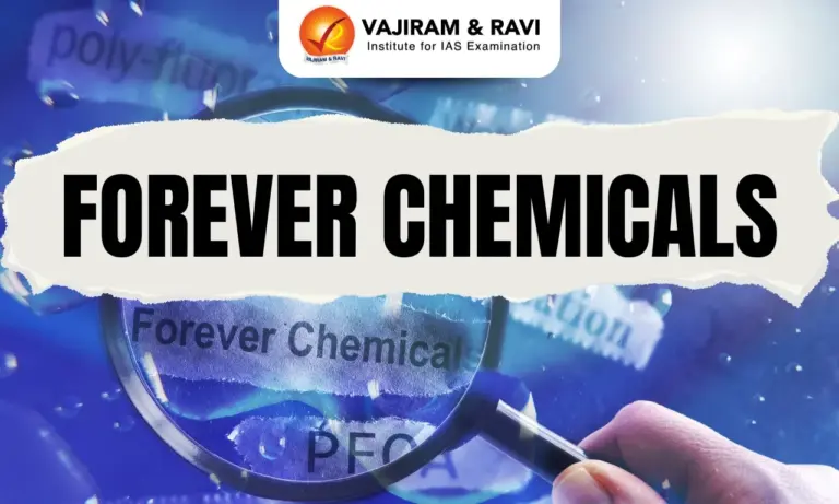 Forever Chemicals