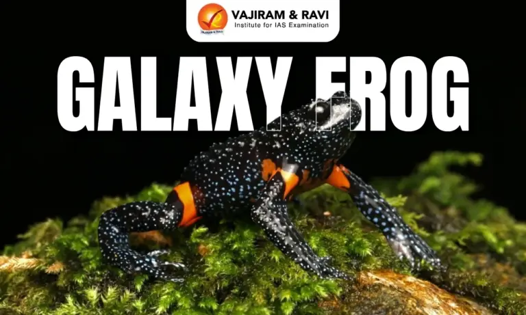 Galaxy Frog
