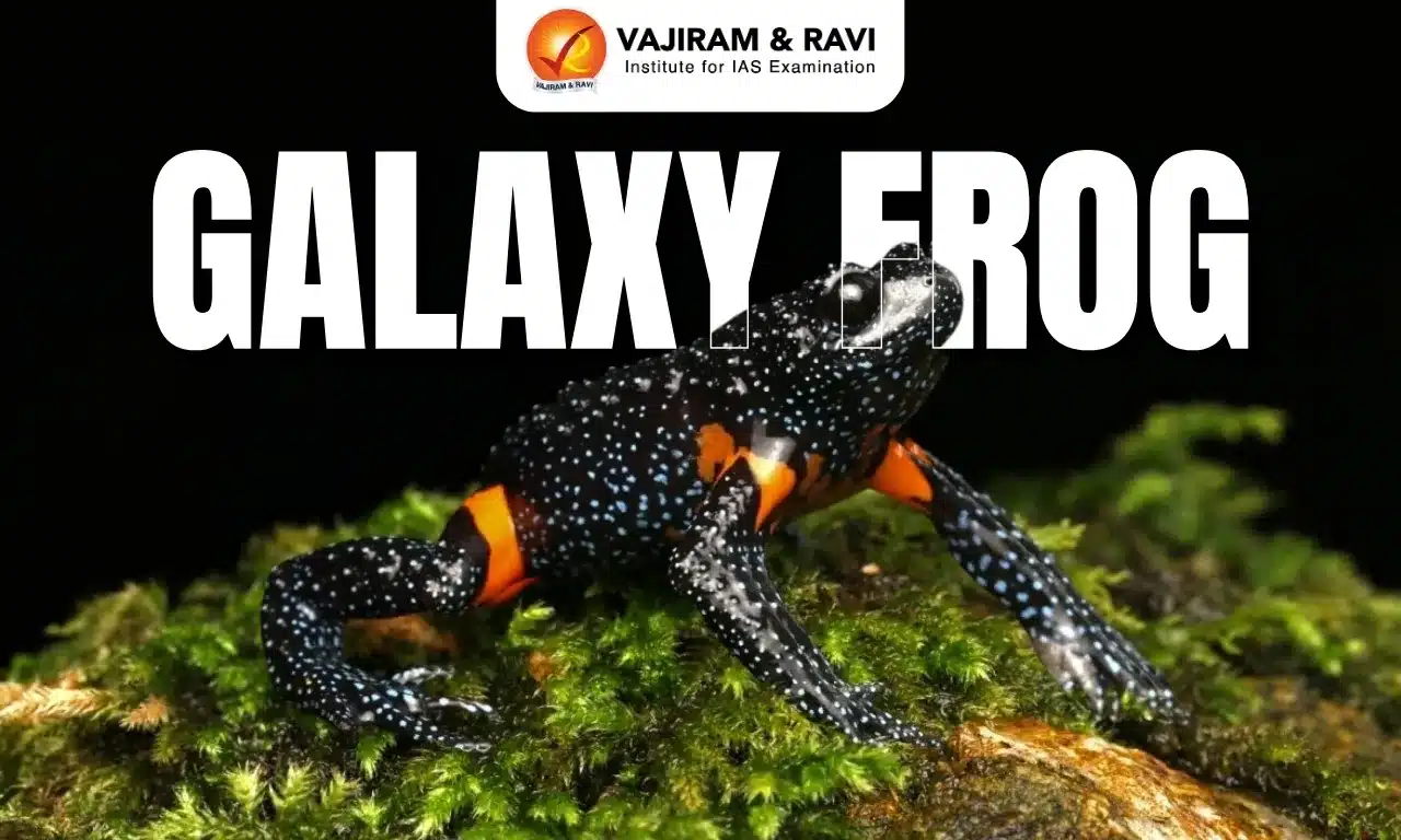 Galaxy Frog