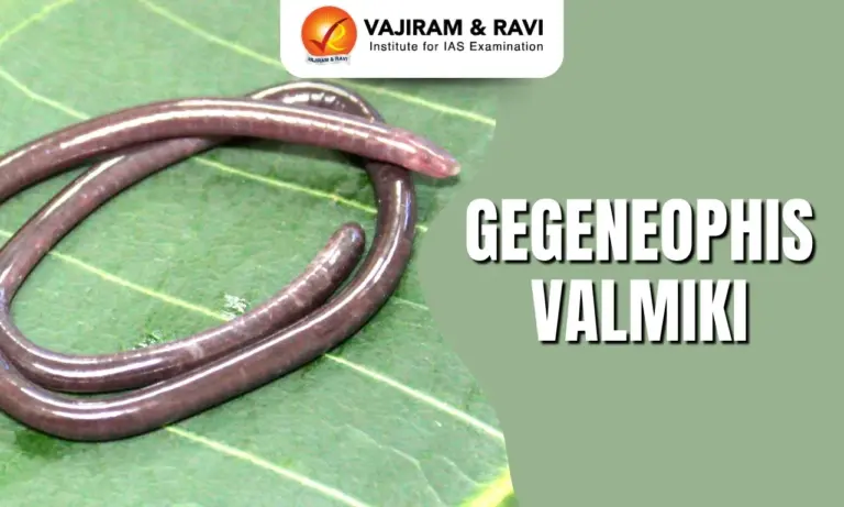 Gegeneophis Valmiki