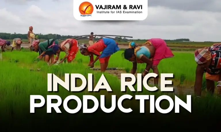 India Rice Production