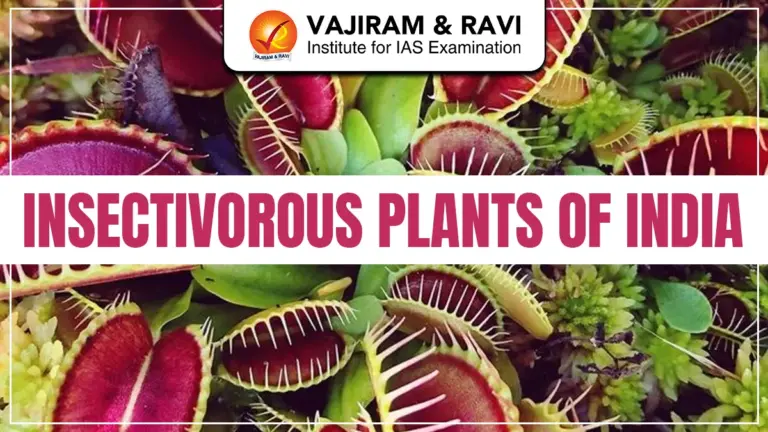 Insectivorous Plants of India