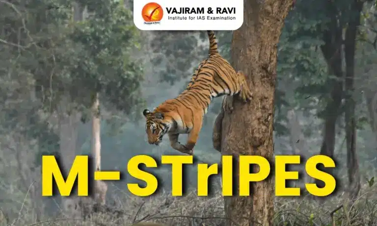 M-STrIPES