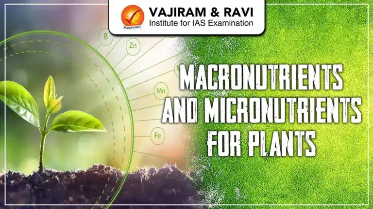Macronutrients and Micronutrients for Plants