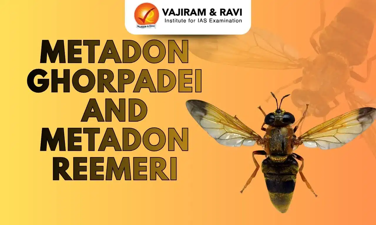 Metadon Ghorpadei and Metadon Reemeri