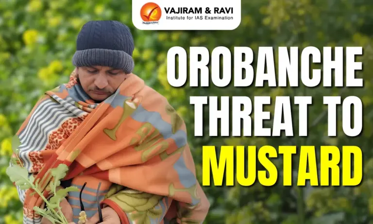 Orobanche Threat to Mustard
