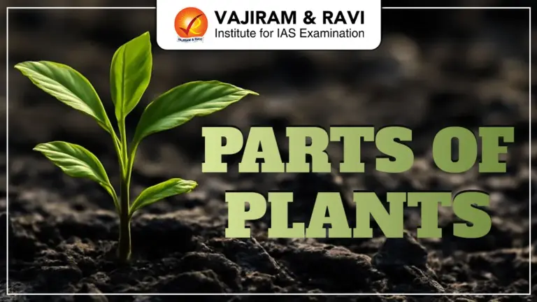 Parts of Plants