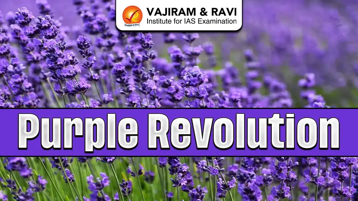 Purple Revolution