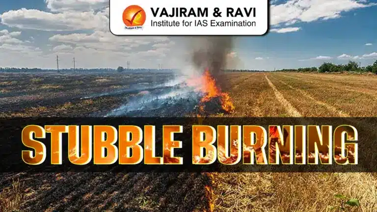 Stubble Burning
