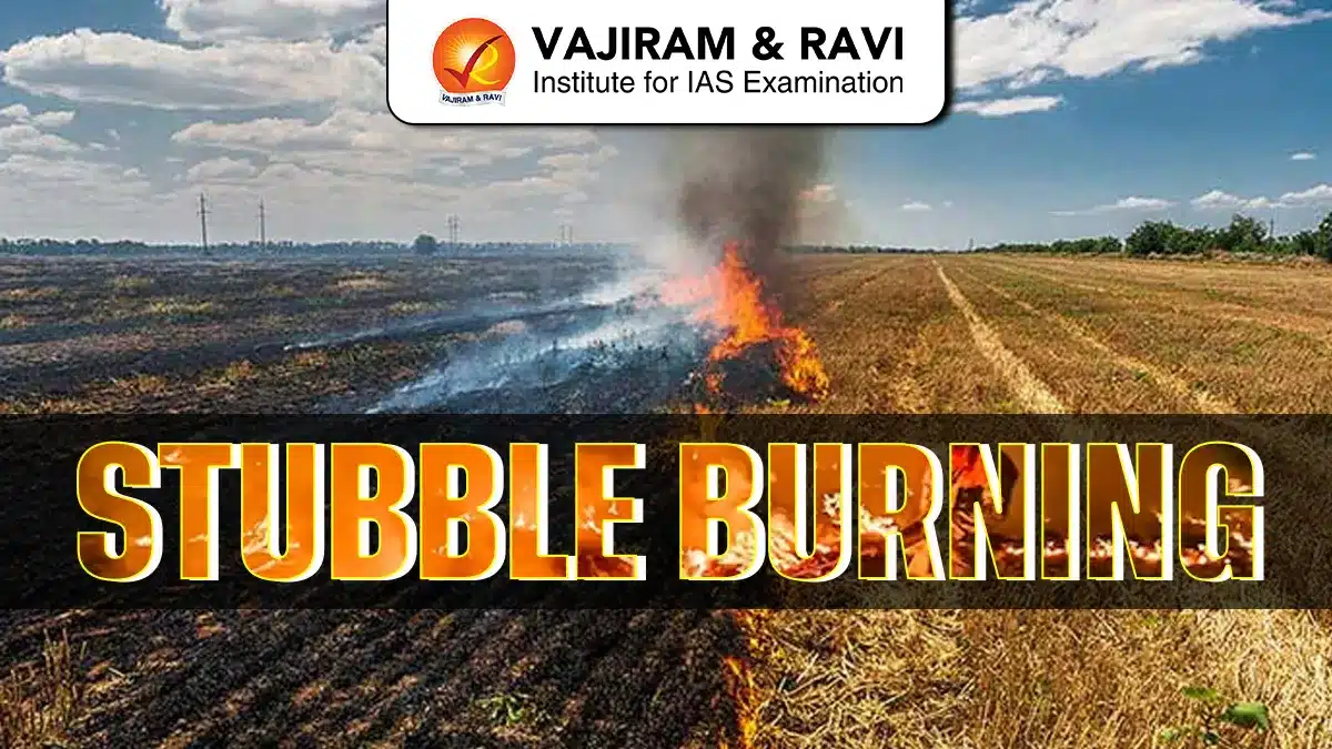 Stubble Burning