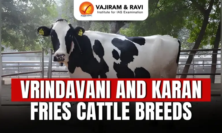 Vrindavani and Karan Fries Cattle Breeds
