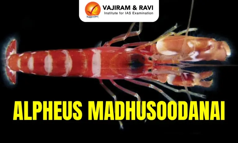 Alpheus Madhusoodanai