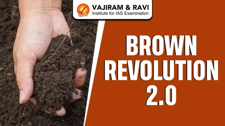 Brown Revolution 2.0
