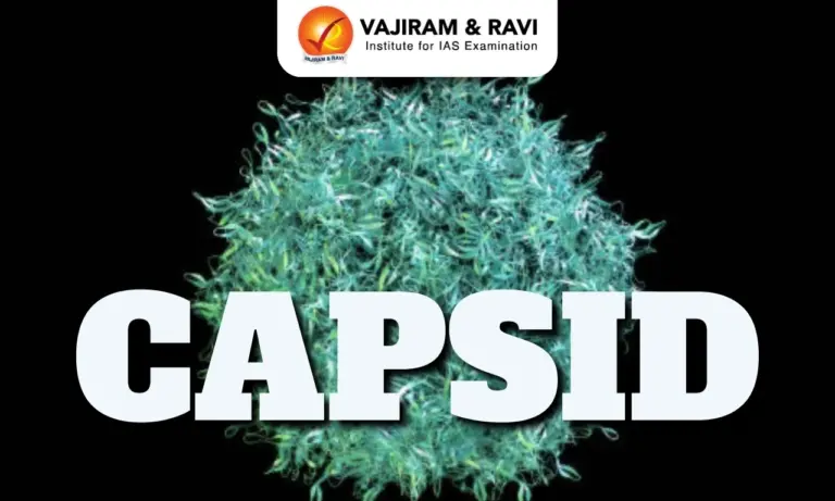 Capsid