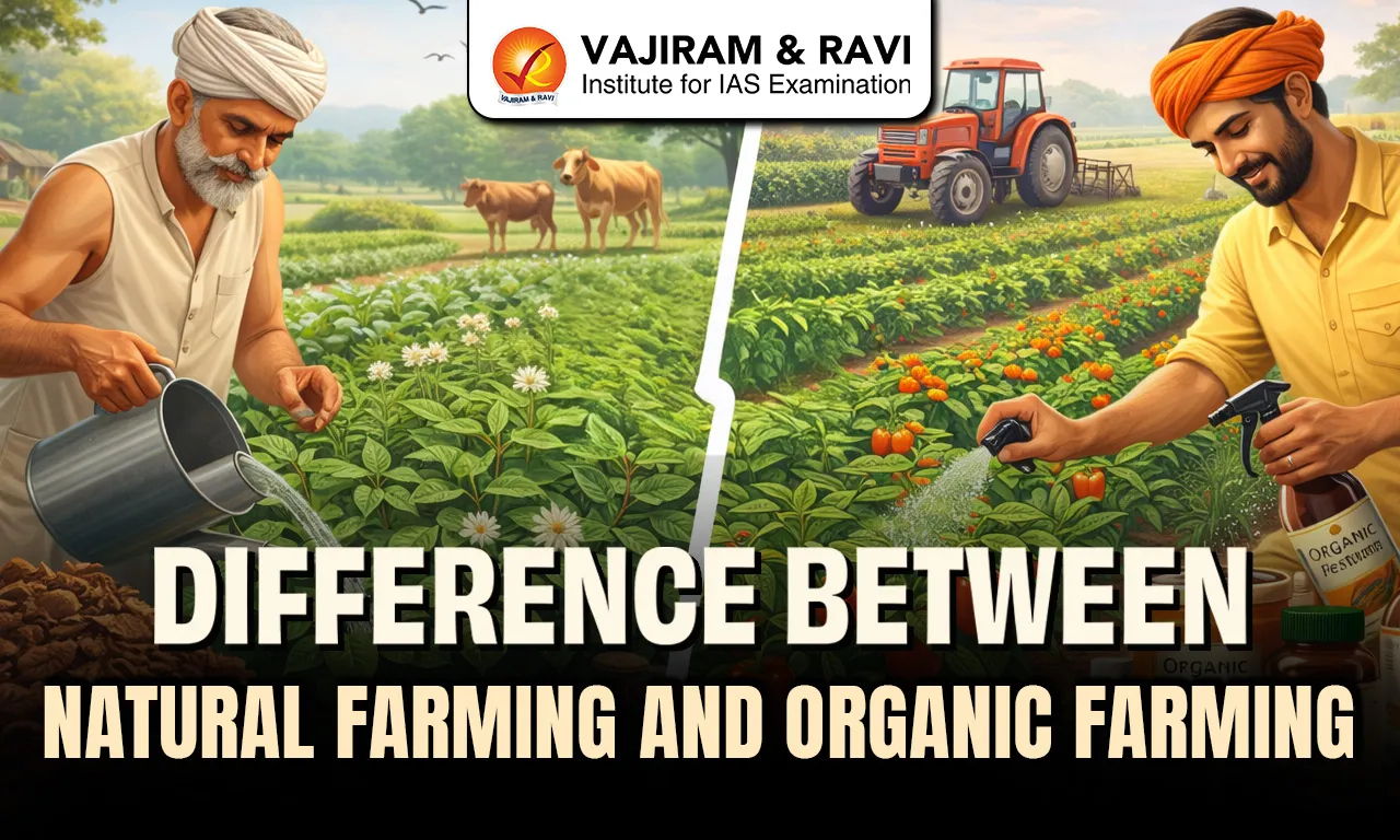 Difference Between Natural Farming and Organic Farming