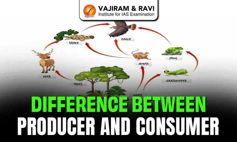Difference Between Producer and Consumer