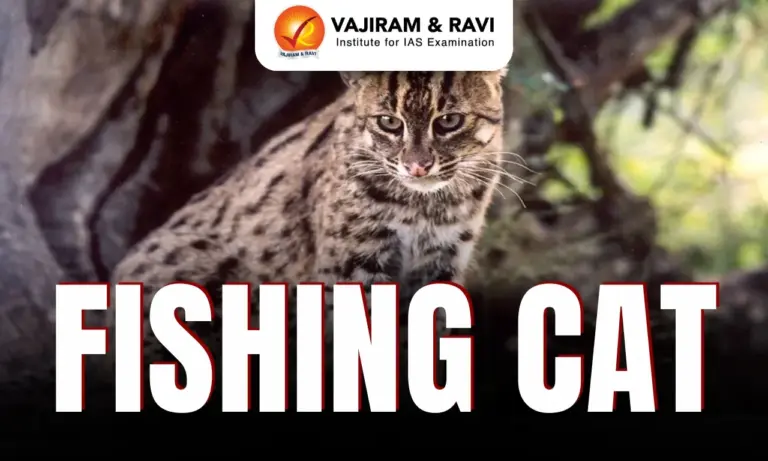Fishing Cat