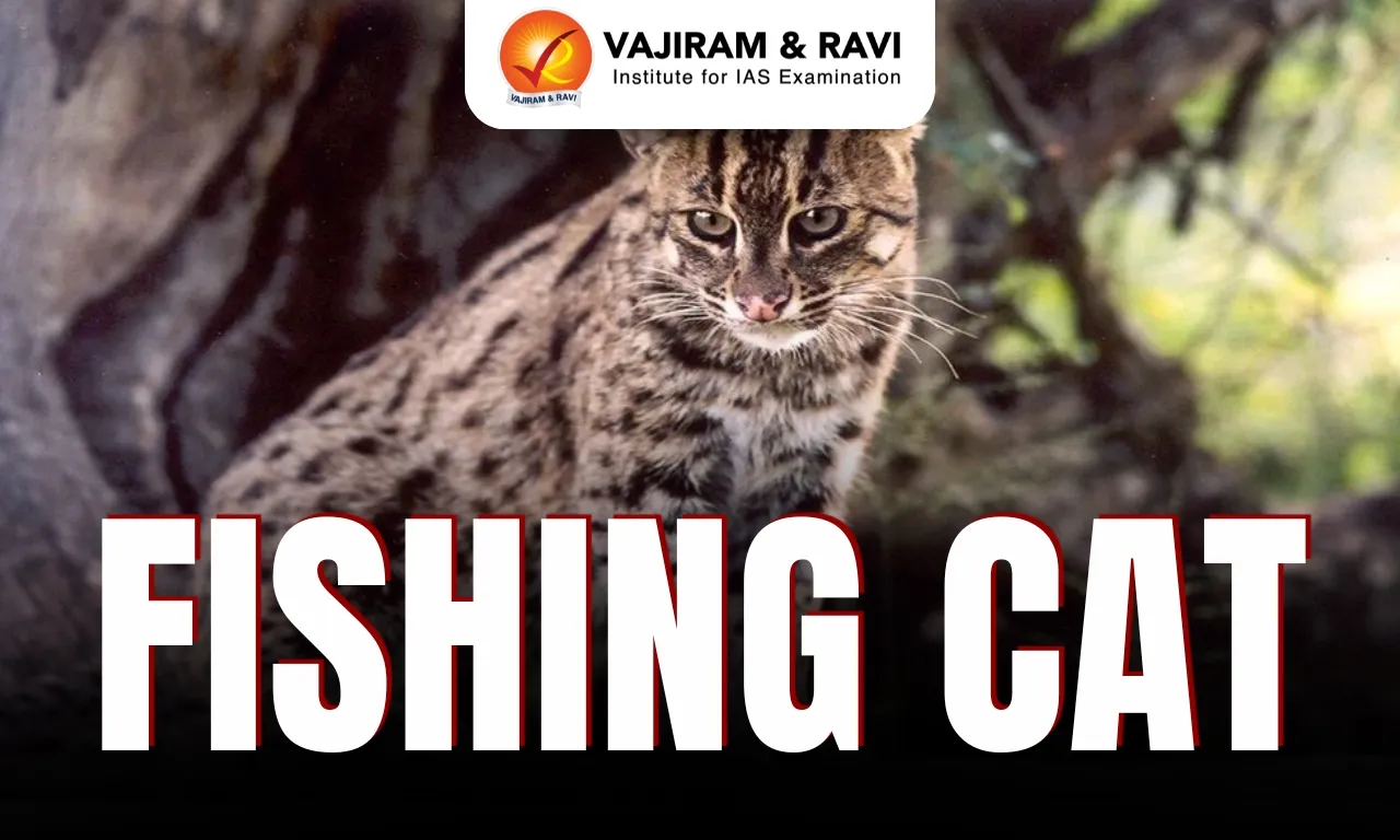 Fishing Cat