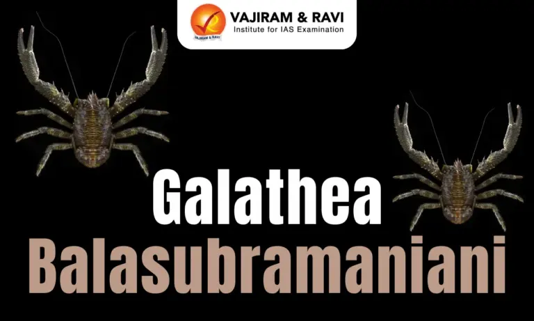Galathea Balasubramaniani