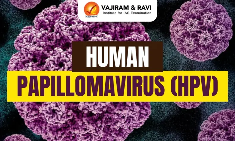 Human Papillomavirus