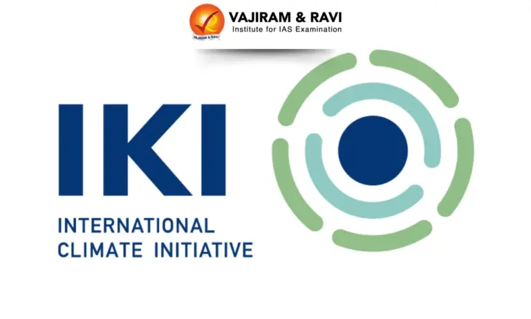 International Climate Initiative