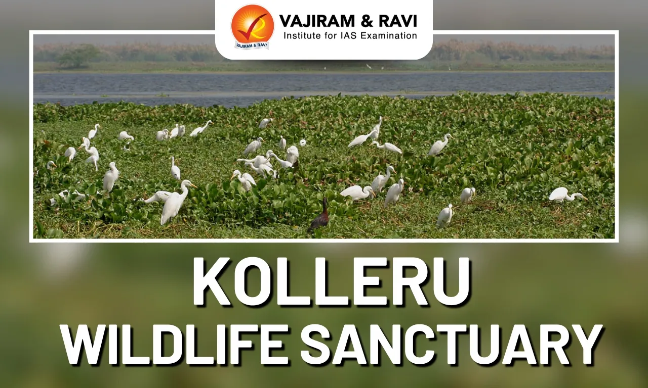Kolleru Wildlife Sanctuary