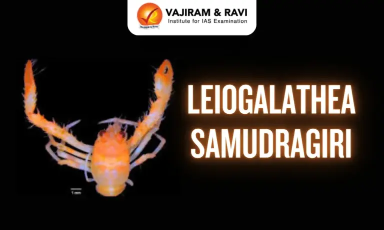 Leiogalathea Samudragiri