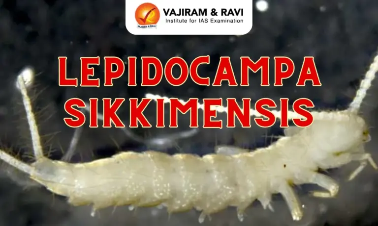 Lepidocampa Sikkimensis