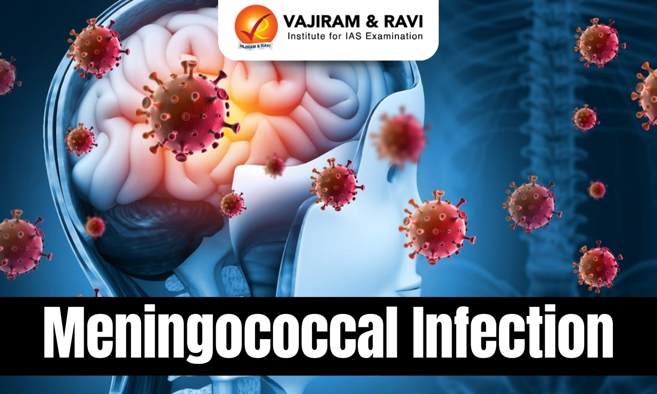 Meningococcal Infection
