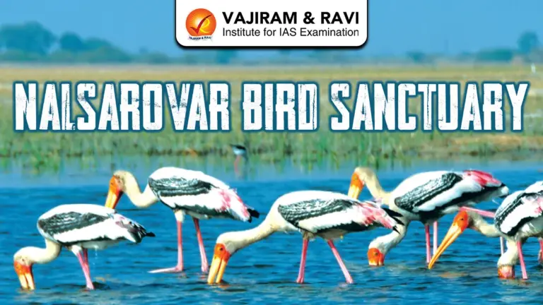 Nalsarovar Bird Sanctuary