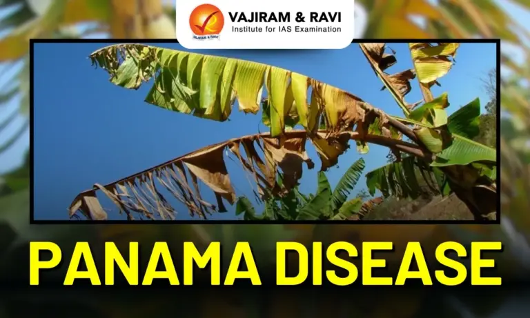 Panama Disease