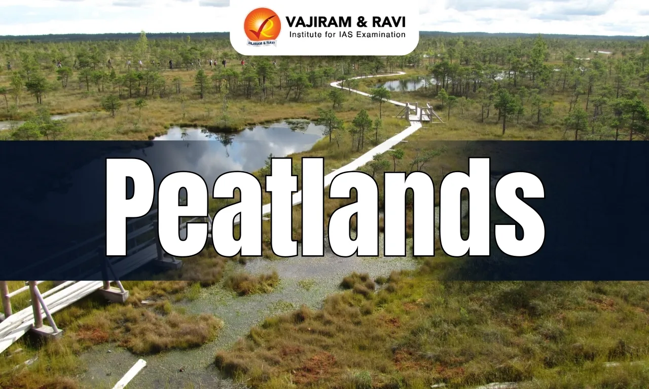 Peatlands
