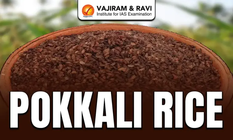 Pokkali Rice