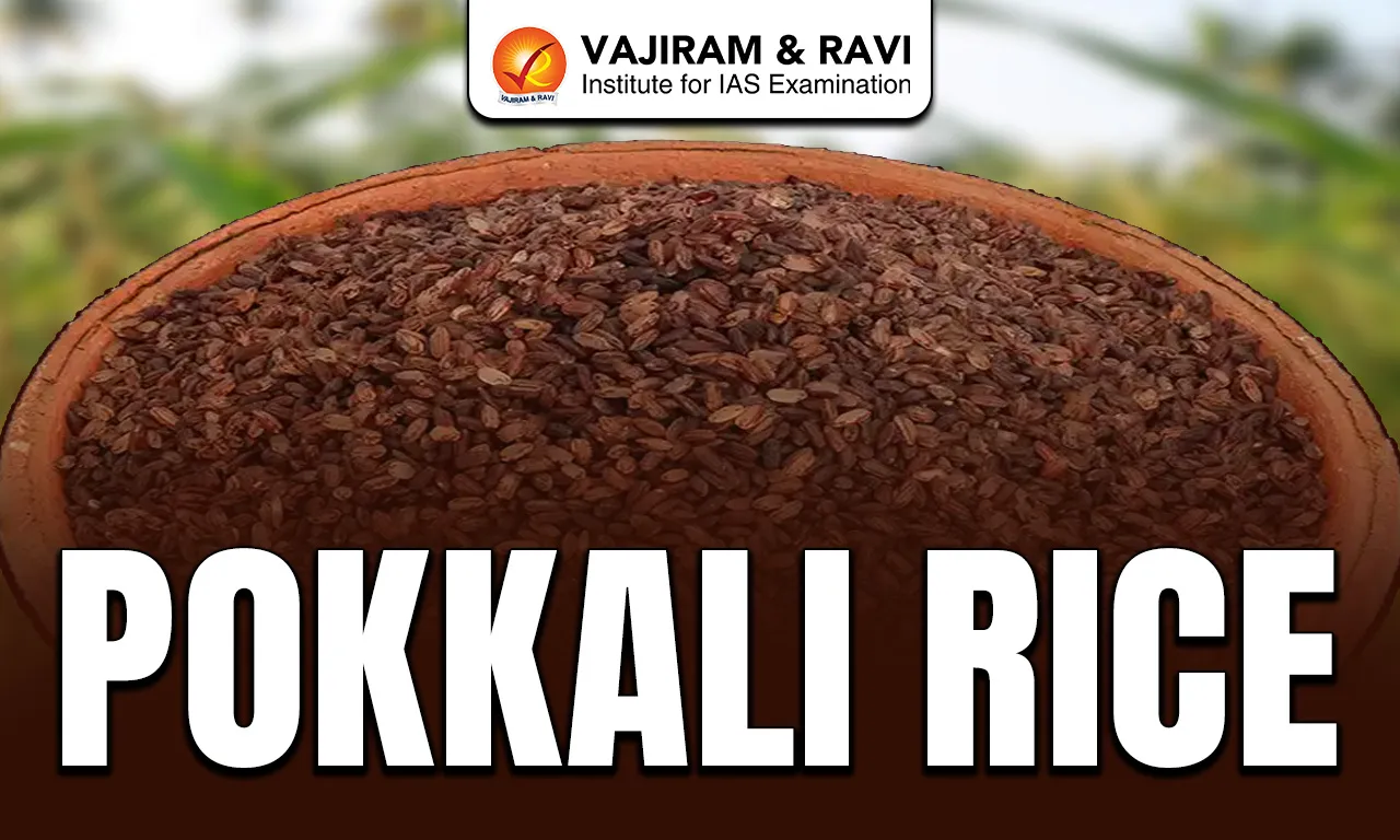 Pokkali Rice
