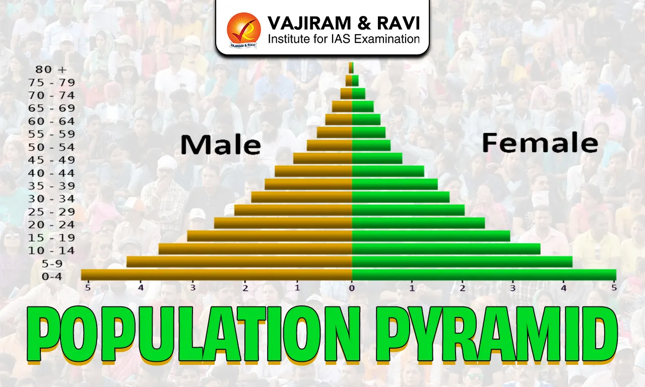 Population Pyramid