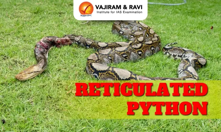 Reticulated Python