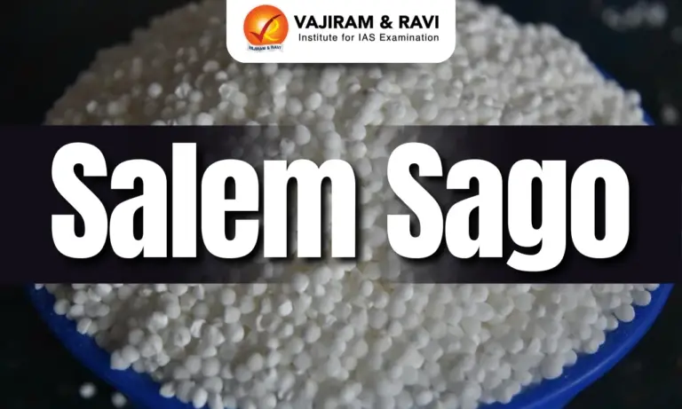 Salem Sago
