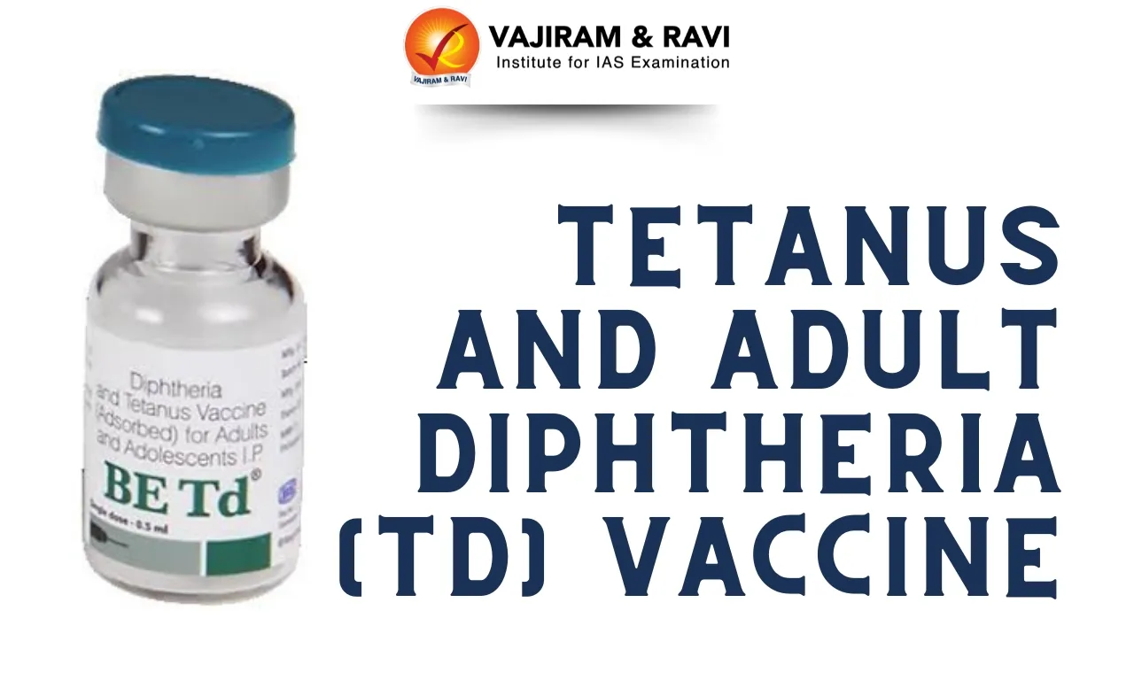 Tetanus and Adult Diphtheria (Td) Vaccine