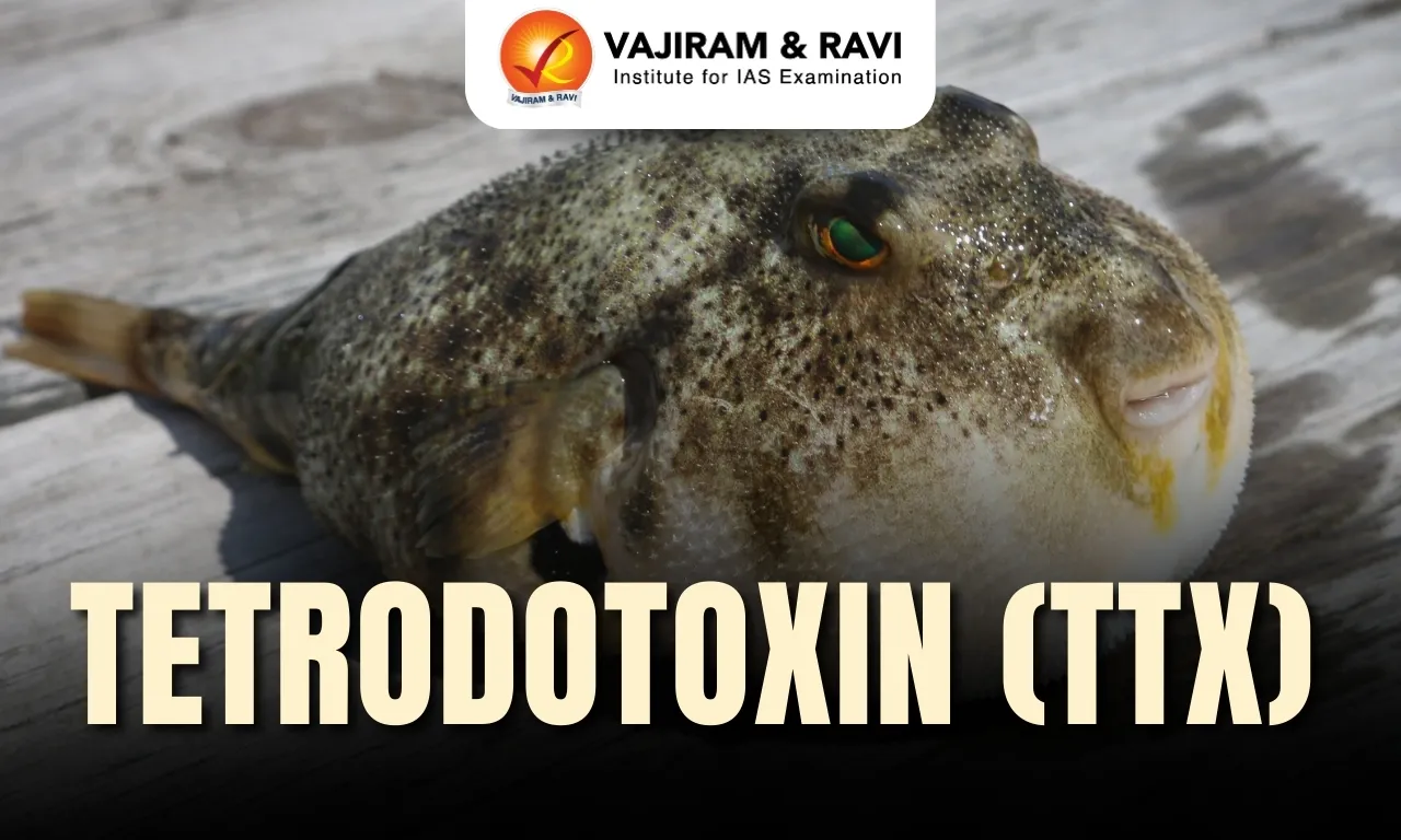 Tetrodotoxin