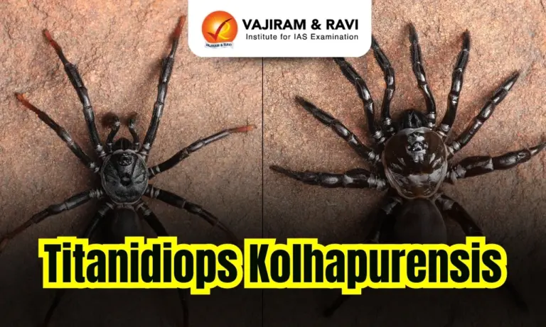 Titanidiops Kolhapurensis