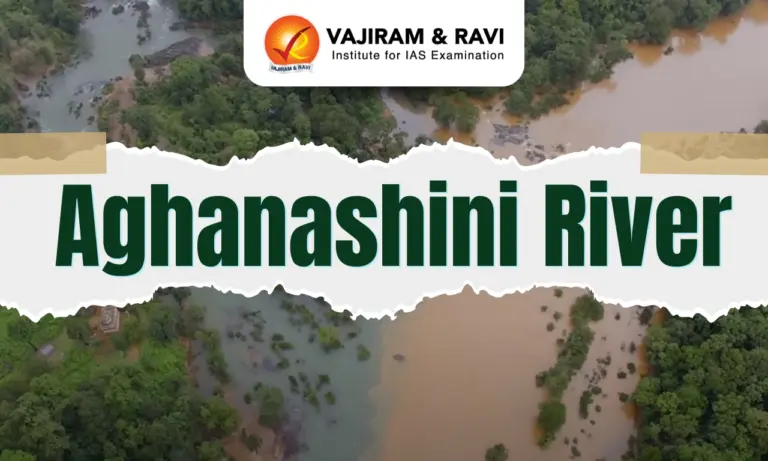 Aghanashini River