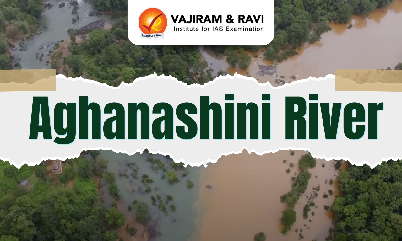 Aghanashini River