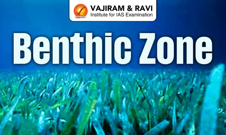 Benthic zone